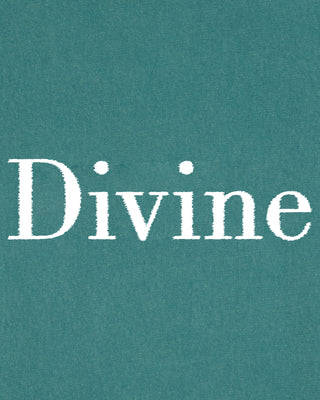 T-shirt Vintage Brodé "Divine"