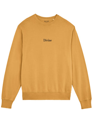 Sweatshirt Vintage Oversize Brodé "Divine"