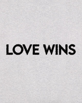 Hoodie Oversize Brodé "Love Wins"