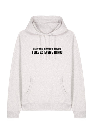 Hoodie Raglan Brodé "Successful"