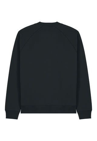 Sweatshirt Raglan Basique